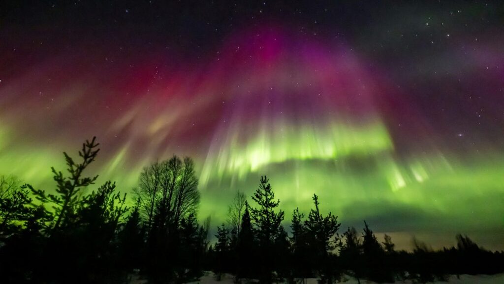northern lights on display